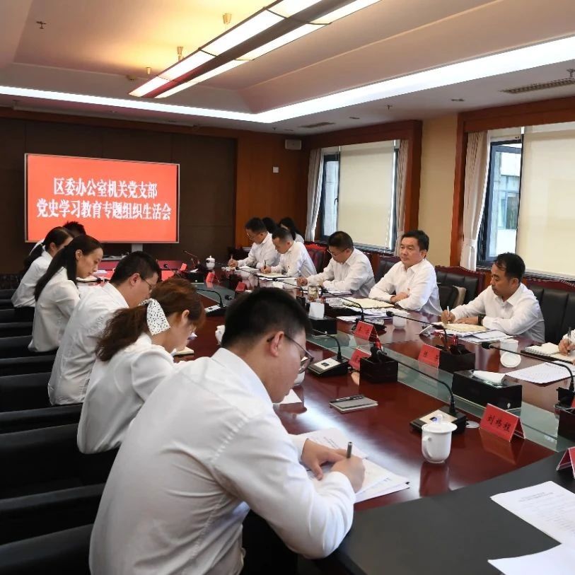 王乾以普通党员身份参加区委办公室机关党支部党史学习教育专题组织生活会