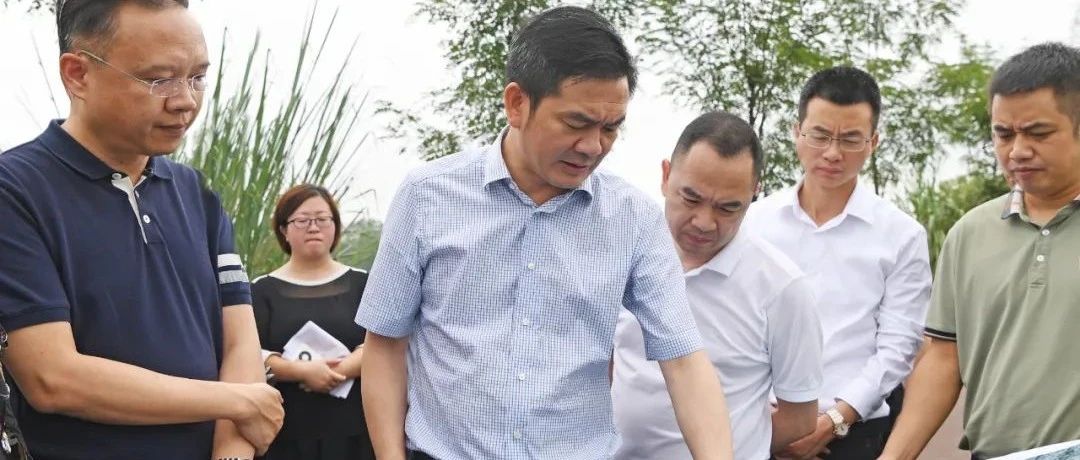王乾今天率队调研金马河沿线，强调要精准利用、和谐表达、自然衔接，凸显公园城市的温江功能