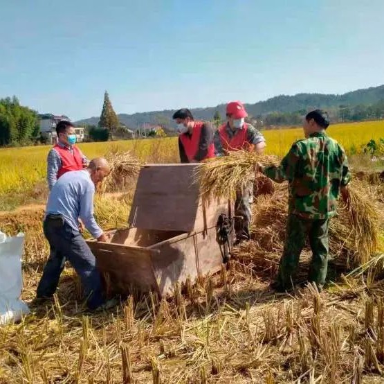 庆丰收 晒幸福 享美好 | 金马街道刘家濠社区大田丰收节来了