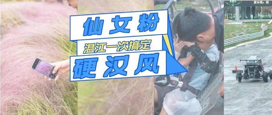 温江网红粉黛乱子草上线！小众无门票，周边还藏着个越野宝藏地？