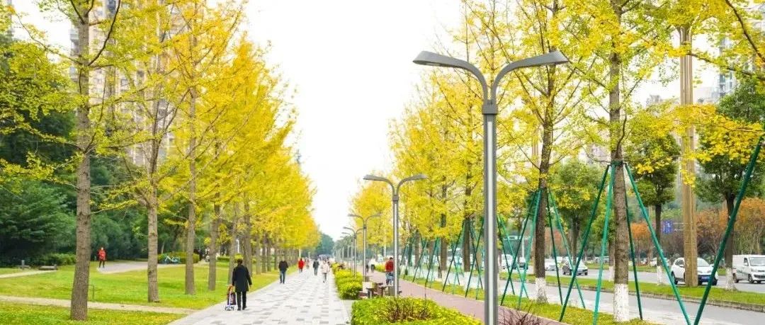 @温江司机   建议绕行！