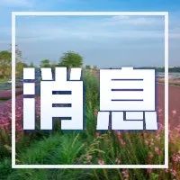 放心，你的“菜篮子”有保障！