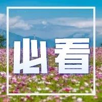 成都文明城市创建知识小课堂第六期开课，来了解成都绿色低碳生活方式