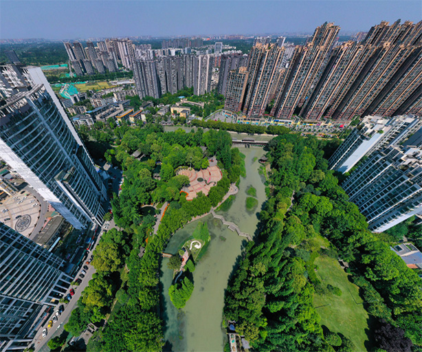VR看温江|俯览温江公园
