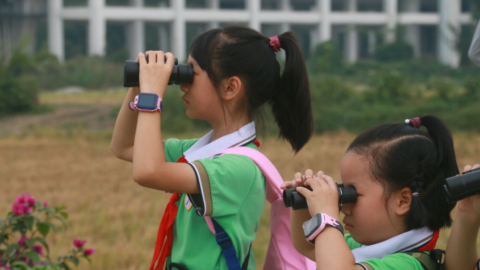 守护生物多样性 与鸟类和谐共处