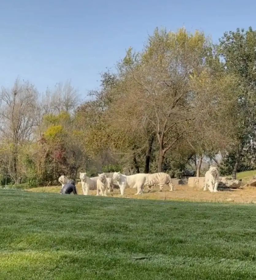 1635038905446887.png?x-oss-process=style/w10 图片