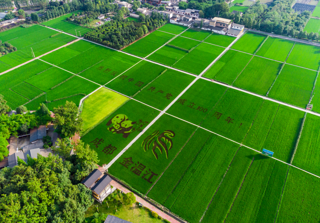 这么美丽的田园美景，你舍得错过吗？~图源：向实