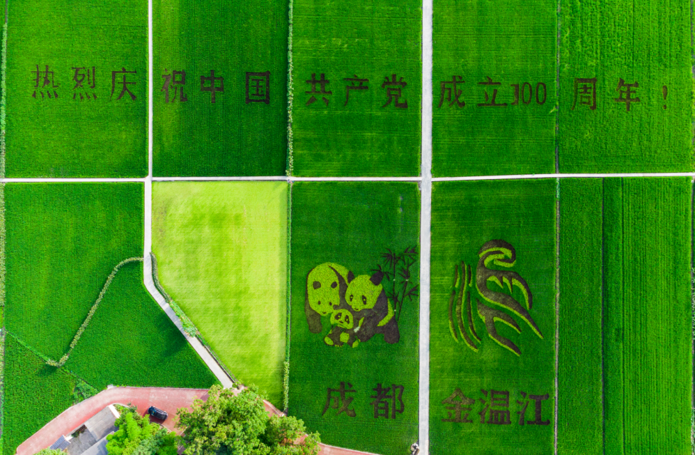 除了咱们熟悉的鱼凫鸟、大熊猫，还有“热烈庆祝中国共产党成立100周年”字样~图源：向实