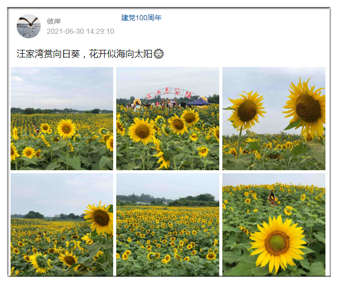 1625119018(1)_副本.png