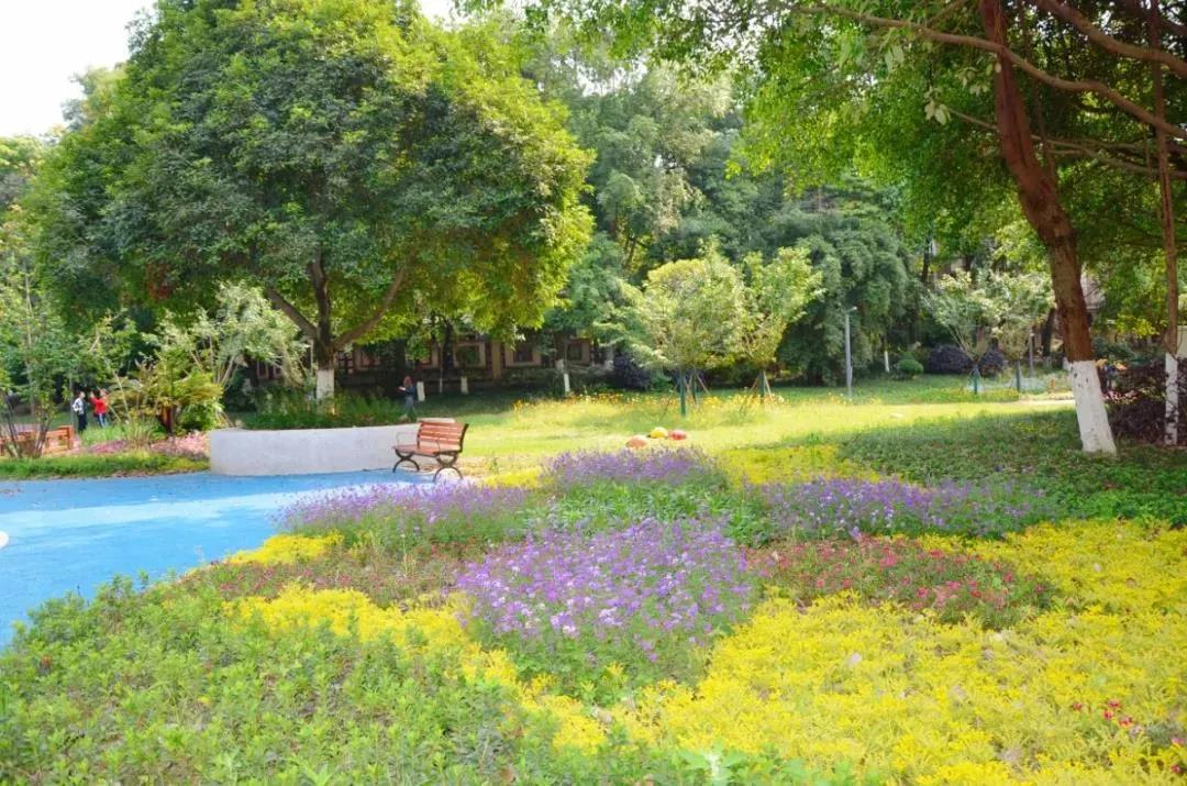 “泰基·花溪谷”微绿地~图源 小住