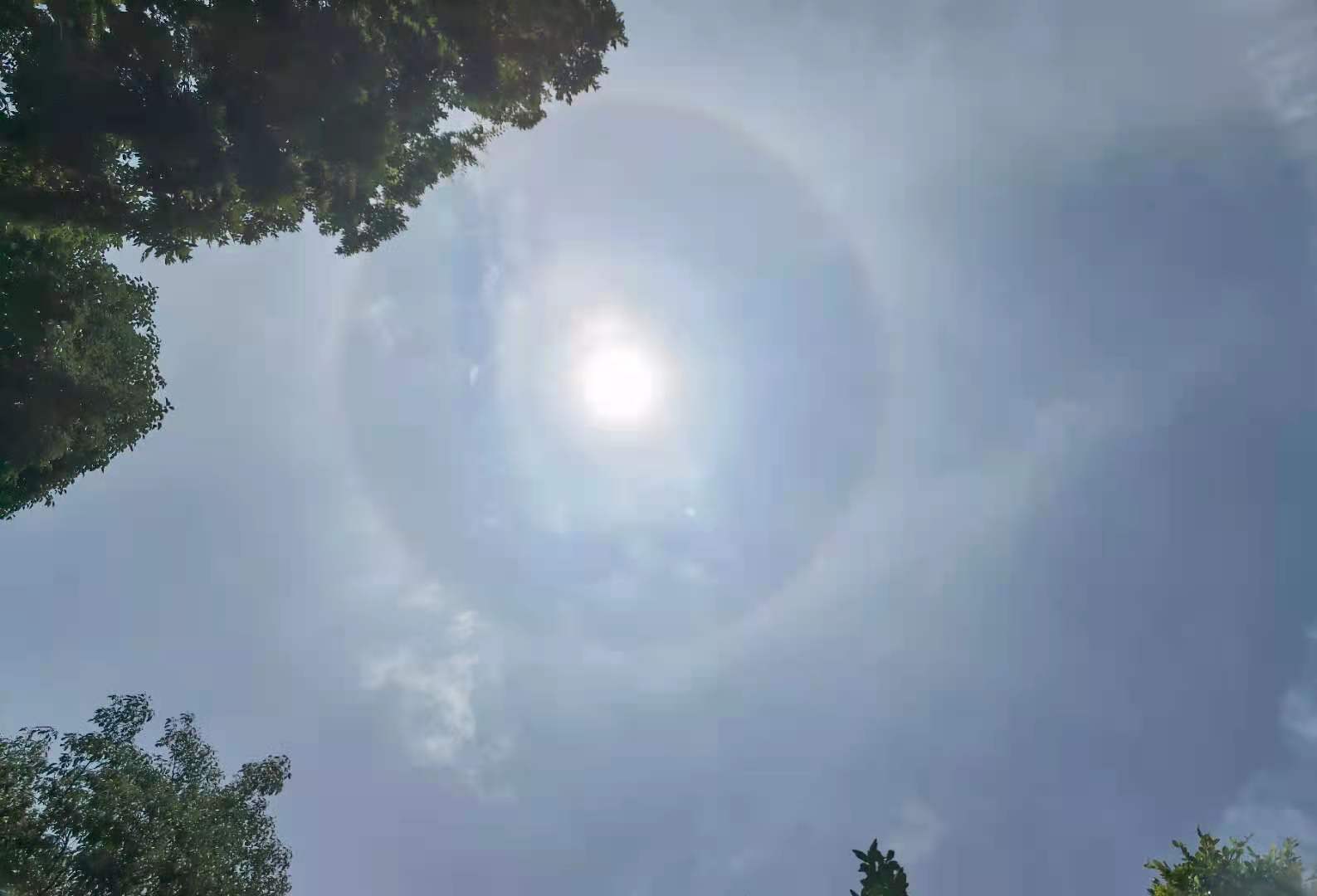 民间有“日晕三更雨，月晕午时风”的谚语~图源 郭鉴