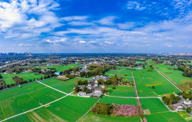 爱生活，爱温江