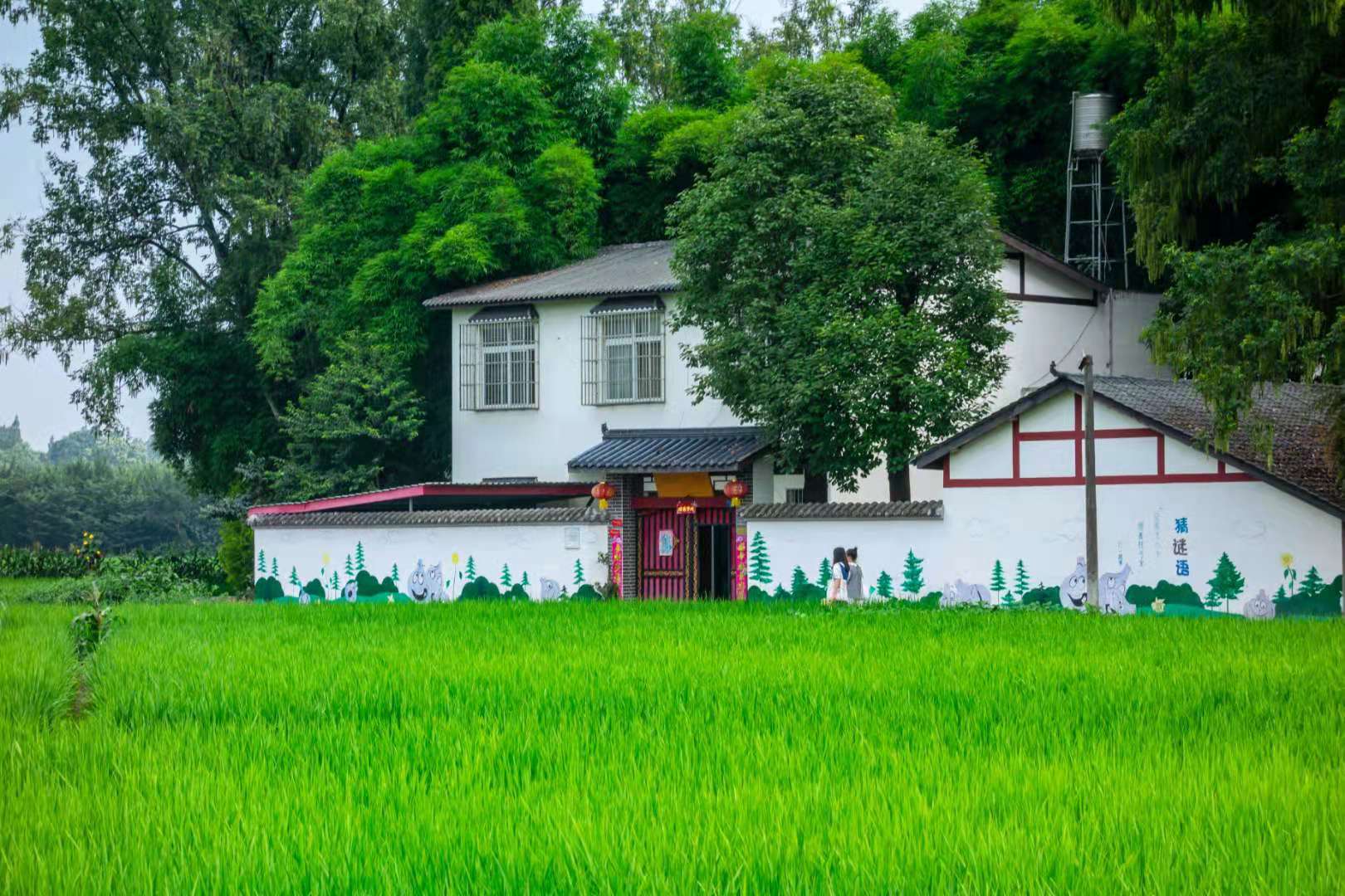 舒克带你飞温江新农村