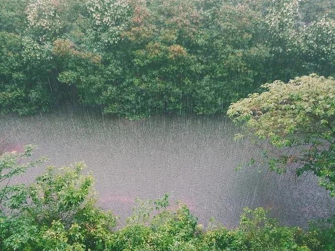 暴雨来了！四川启动Ⅲ级防汛应急响应！别慌，这份防御指南请收好