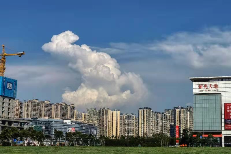 一匹仰天嘶鸣的战马  ~图源：郭鉴