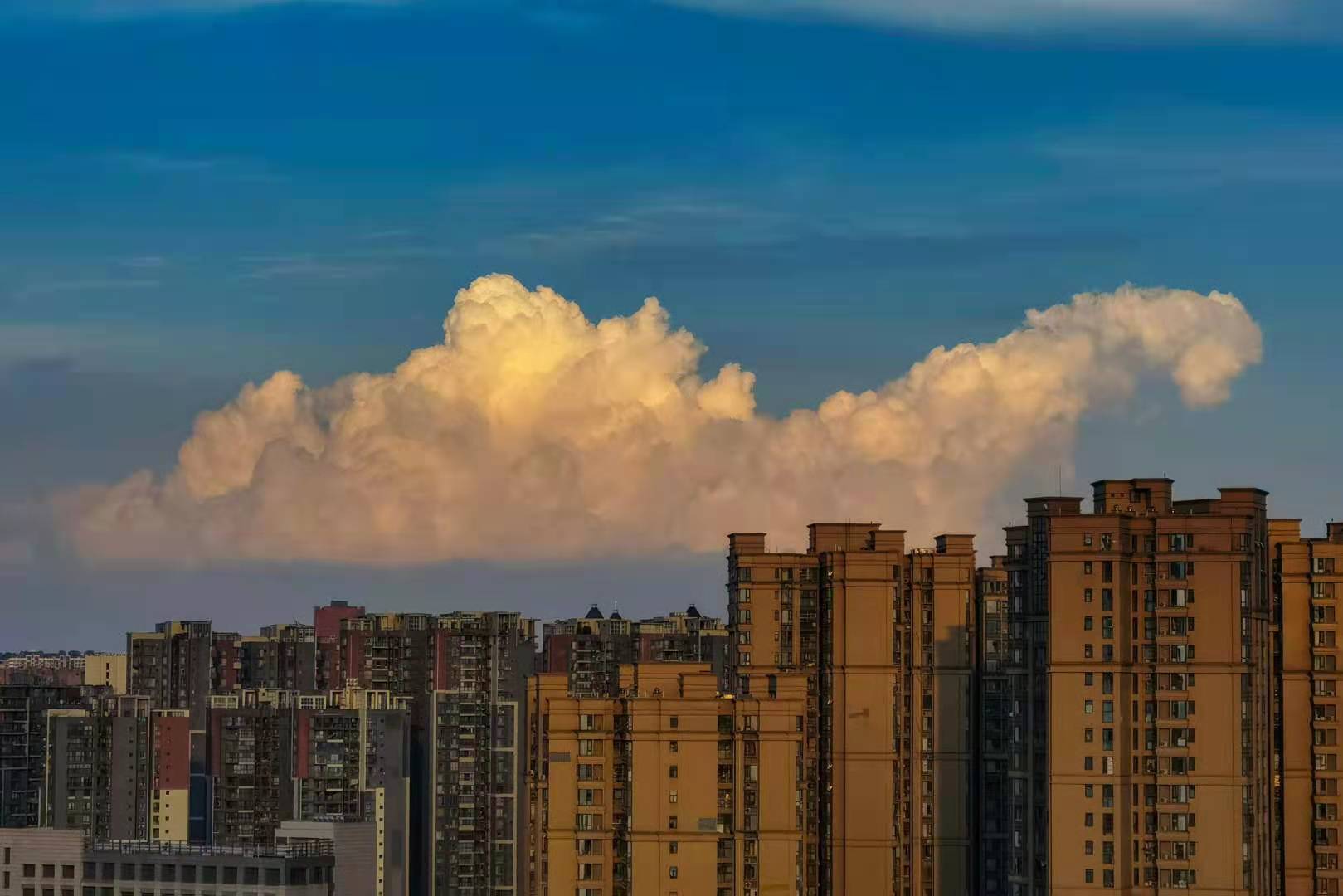 一只来自侏罗纪的剑龙  ~图源：郭鉴