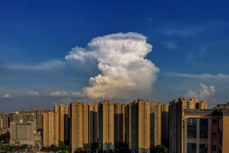 这朵云像不像...... 欢迎评论区讨论哟！ ~图源：郭鉴