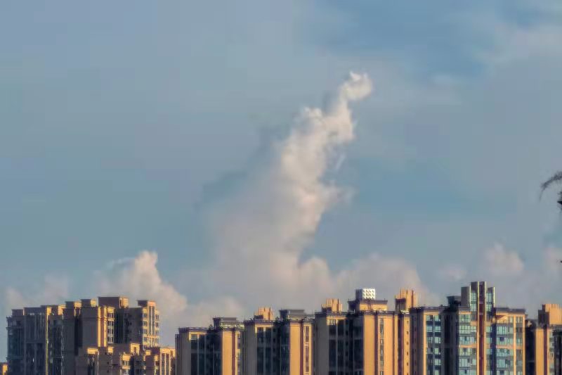 这几天火出圈的云南野象！~图源：郭鉴