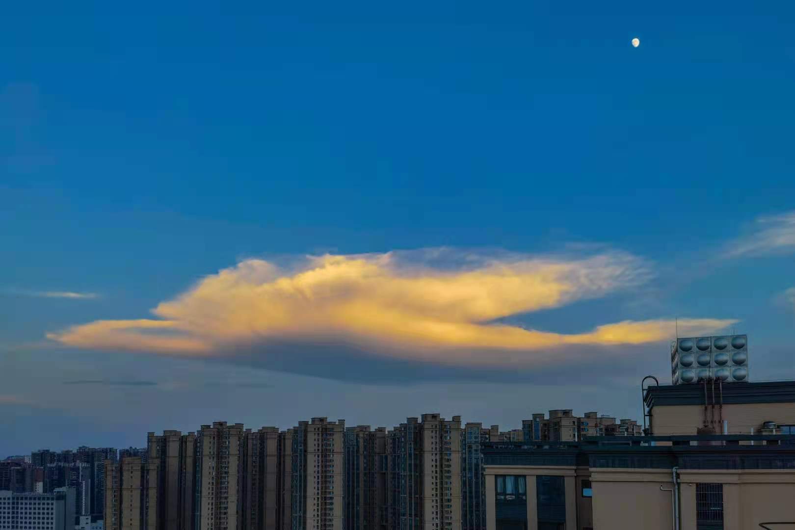 一条来自大洋深处的蓝鲸  ~图源：郭鉴