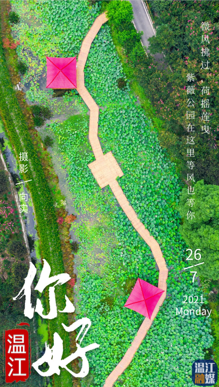 每日一图·2021年7月26日