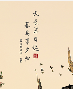 每日一图