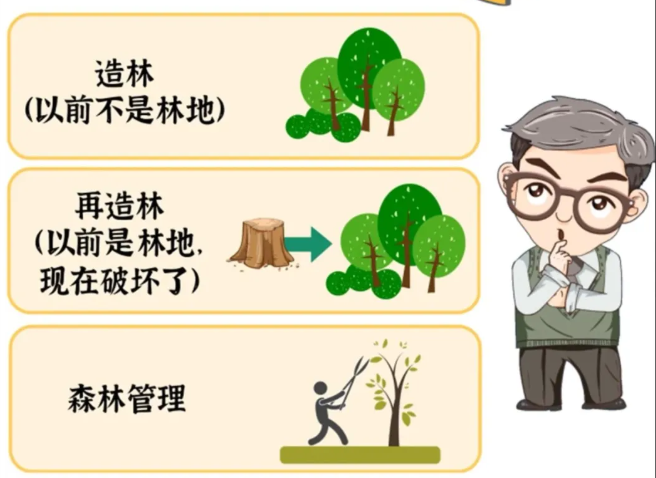 碳减排的黑科技有哪些？植树造林算不算？