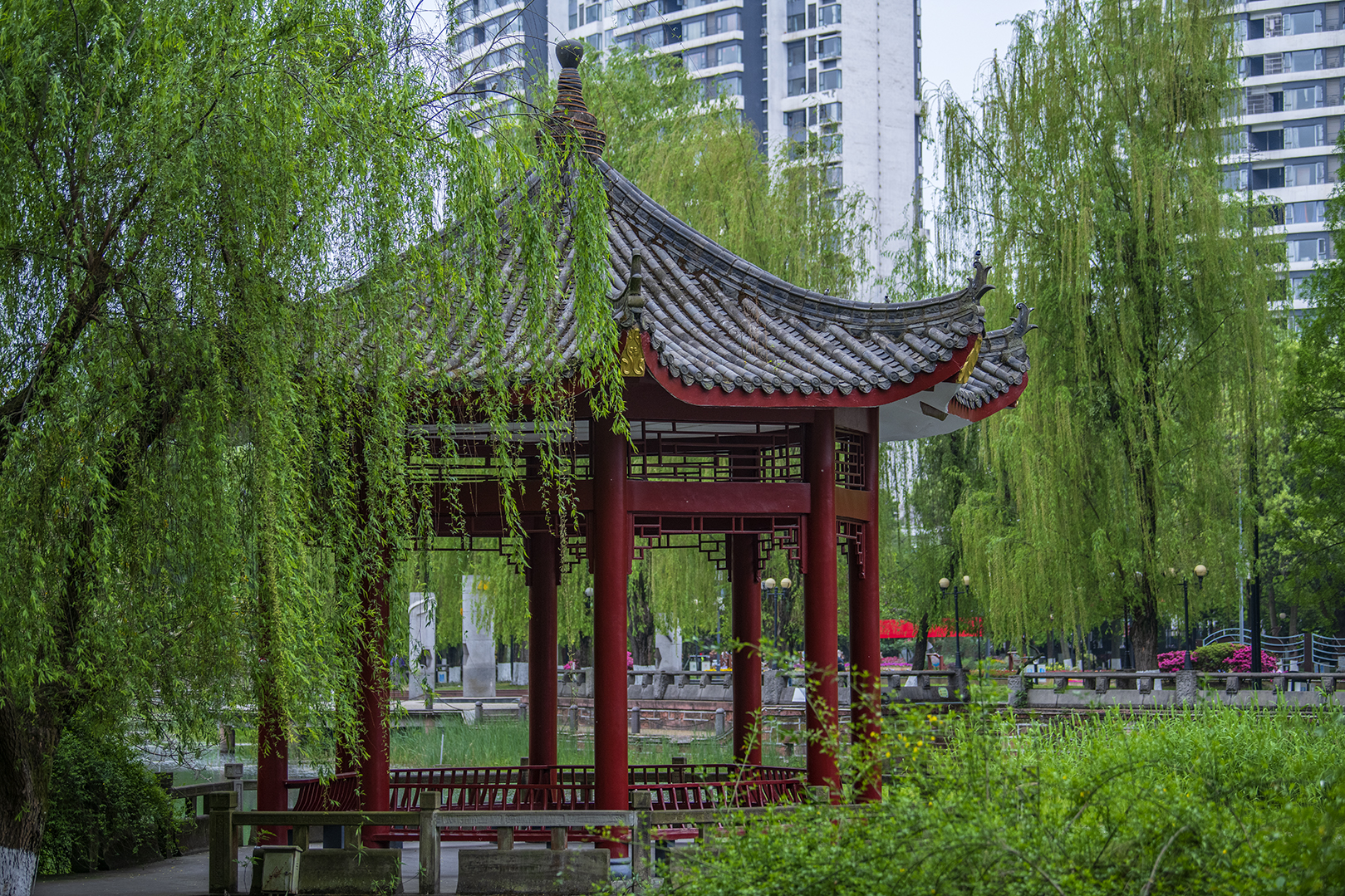 温江公园.jpg