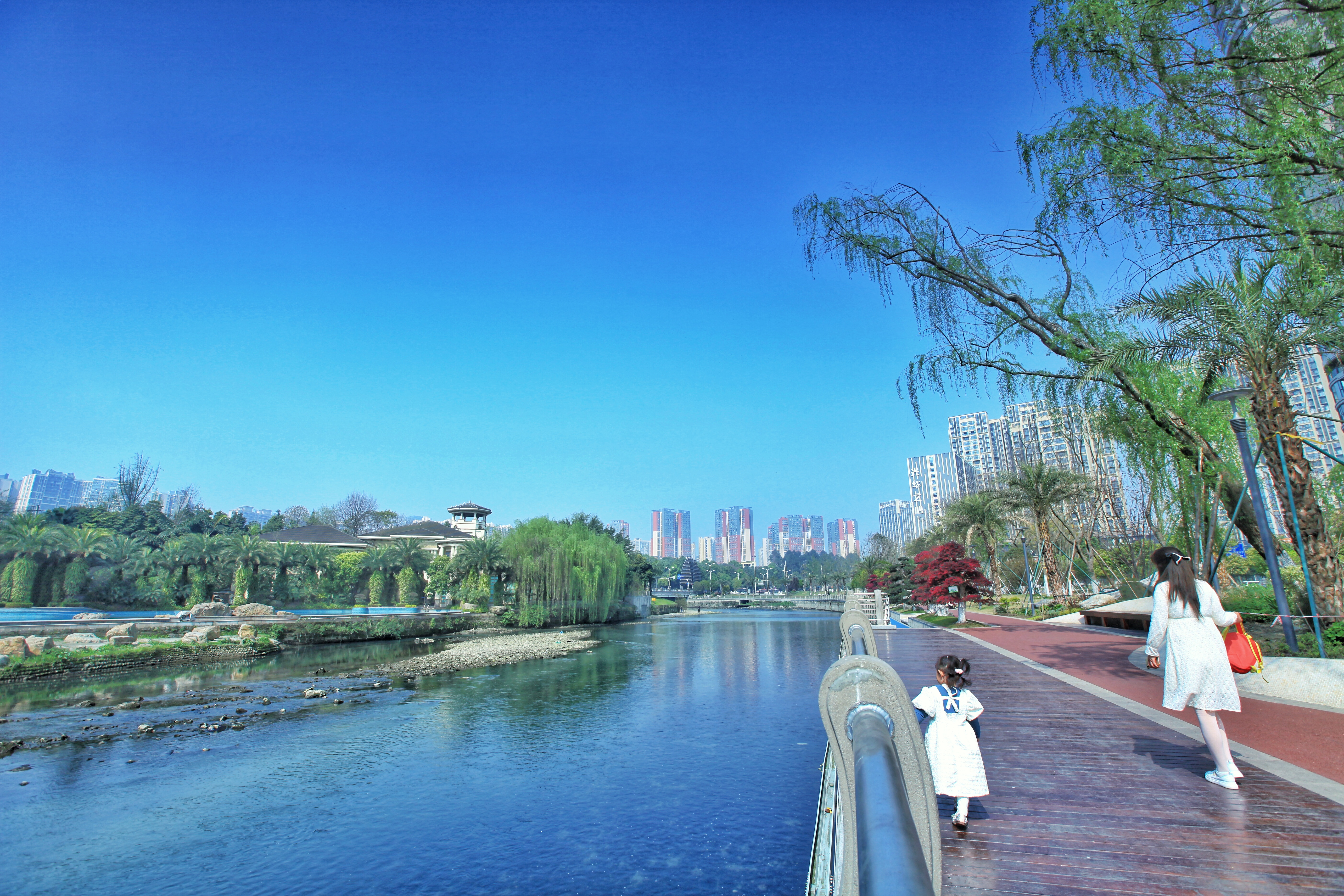 阳光.JPG
