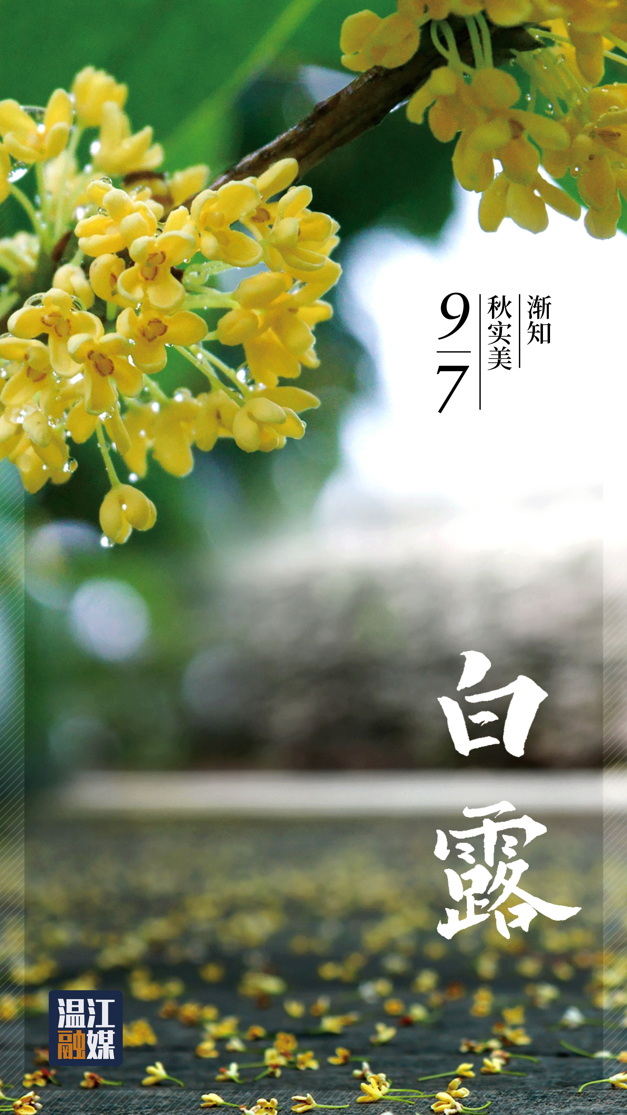 微信图片_20210906183109.jpg