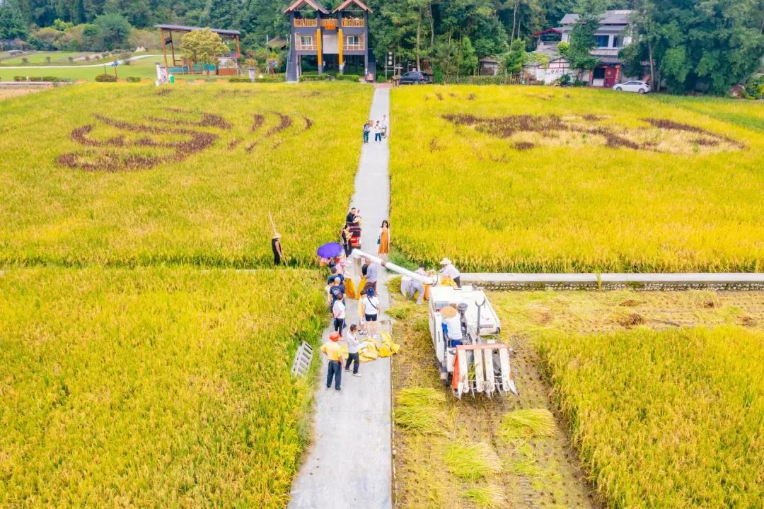 当劳动者遇上梦想，会有多惊艳？