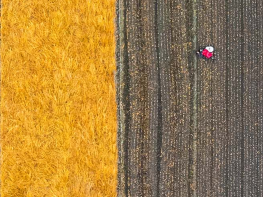 这里是温江·2021年9月28日