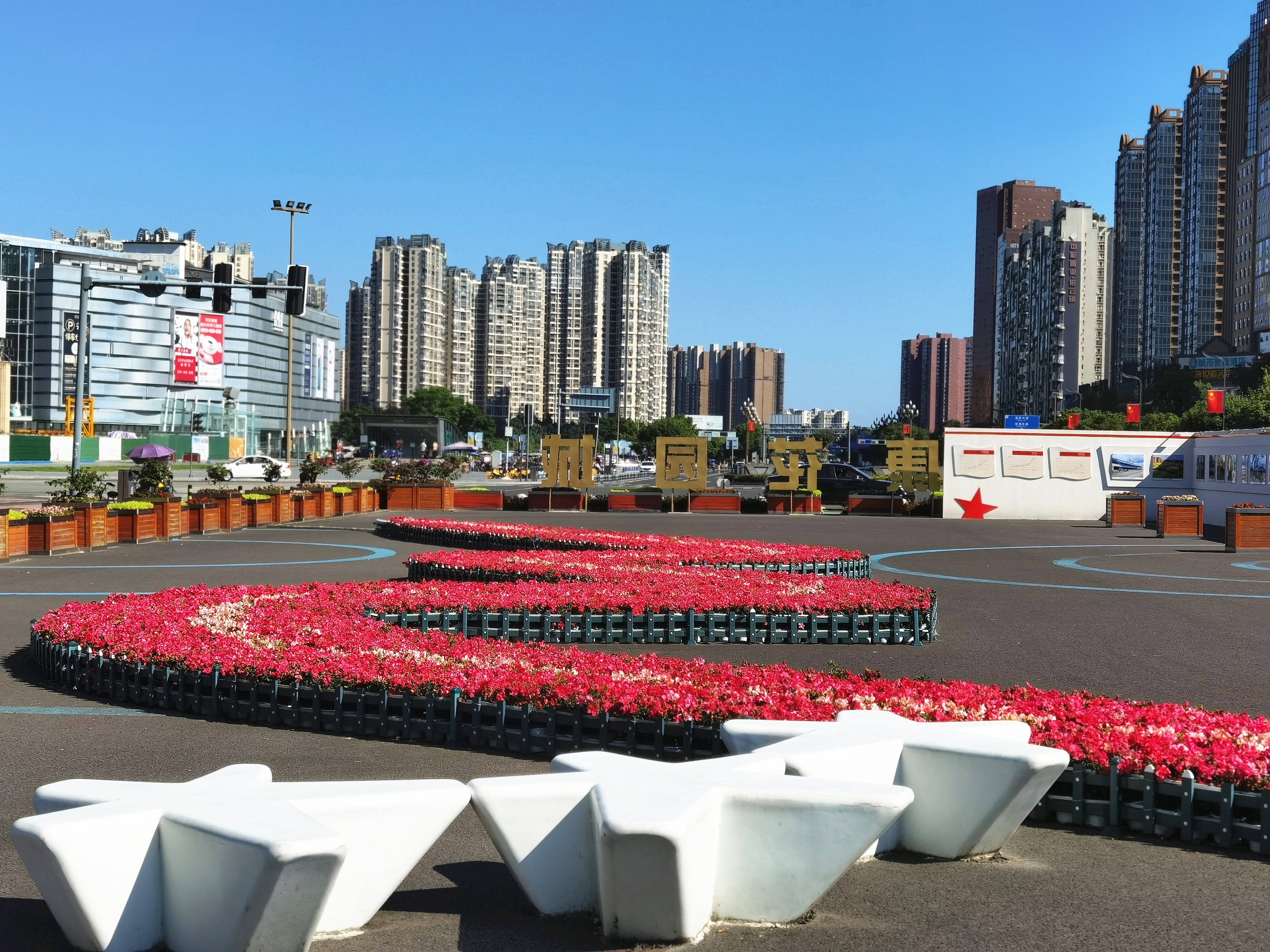 在光华公园，美丽的鲜花汇成飘逸的彩带    图 @ 李丹