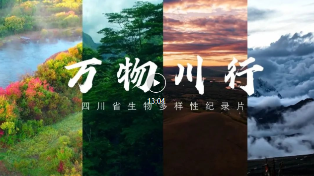 央视网首推！四川原创生物多样性宣传片《万物川行》再获肯定