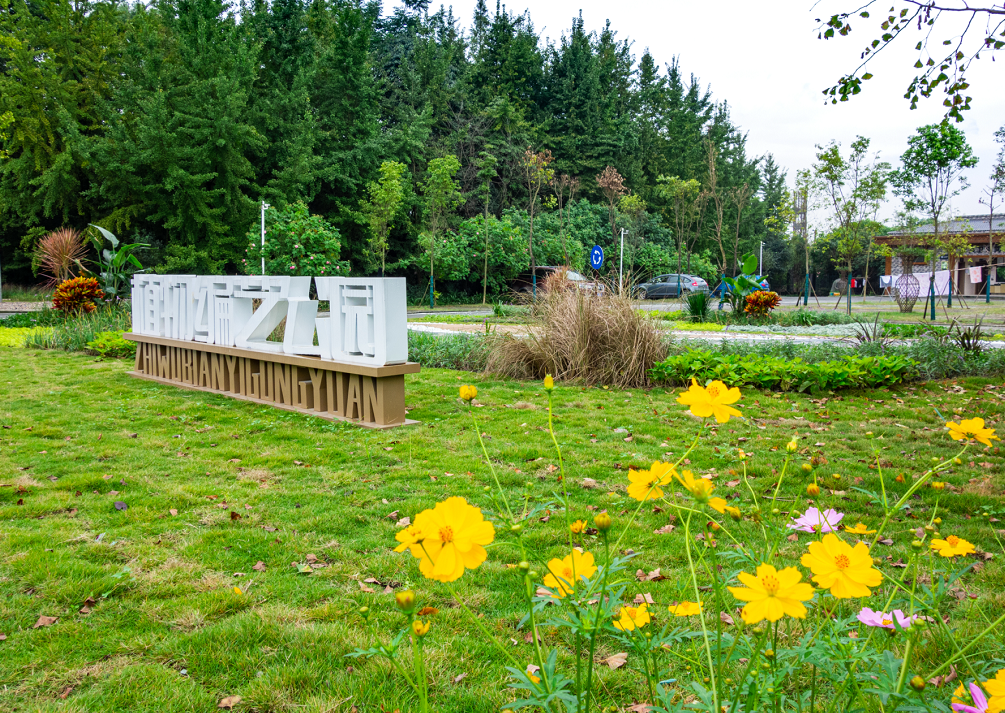 和你在秋天的北林走一走