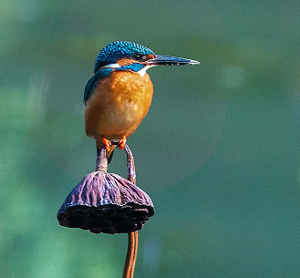 这里是温江·2021年10月18日