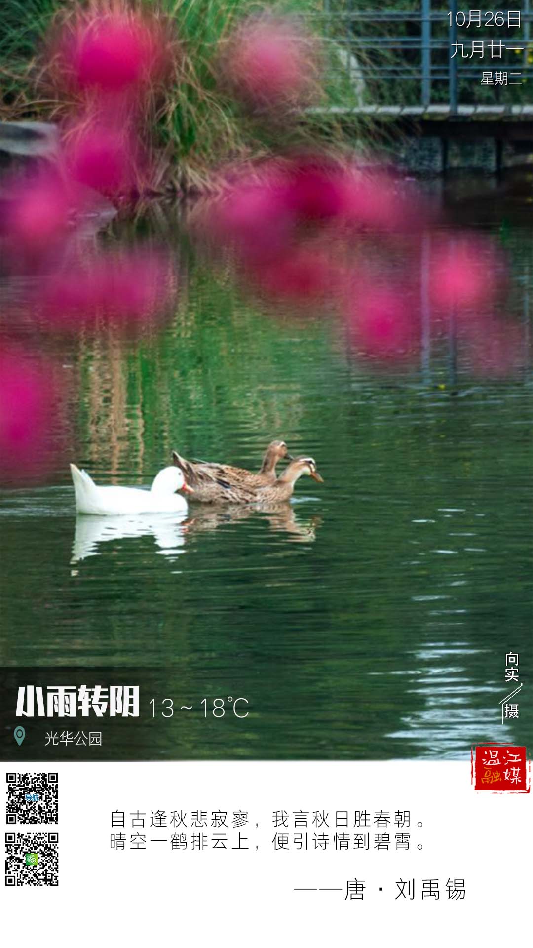 这里是温江·2021年10月26日