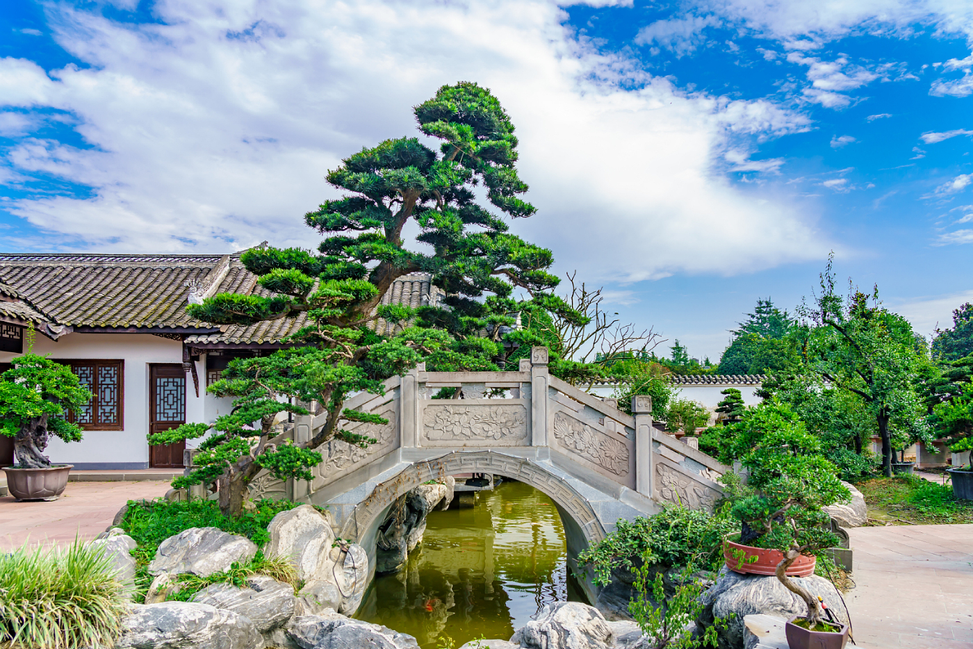 挑一个秋高气爽的日子，来温江北林逛逛吧！      图 @ 张志强