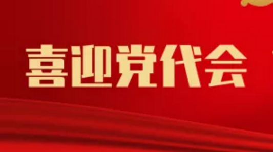 区第十五次党代会预备会议召开