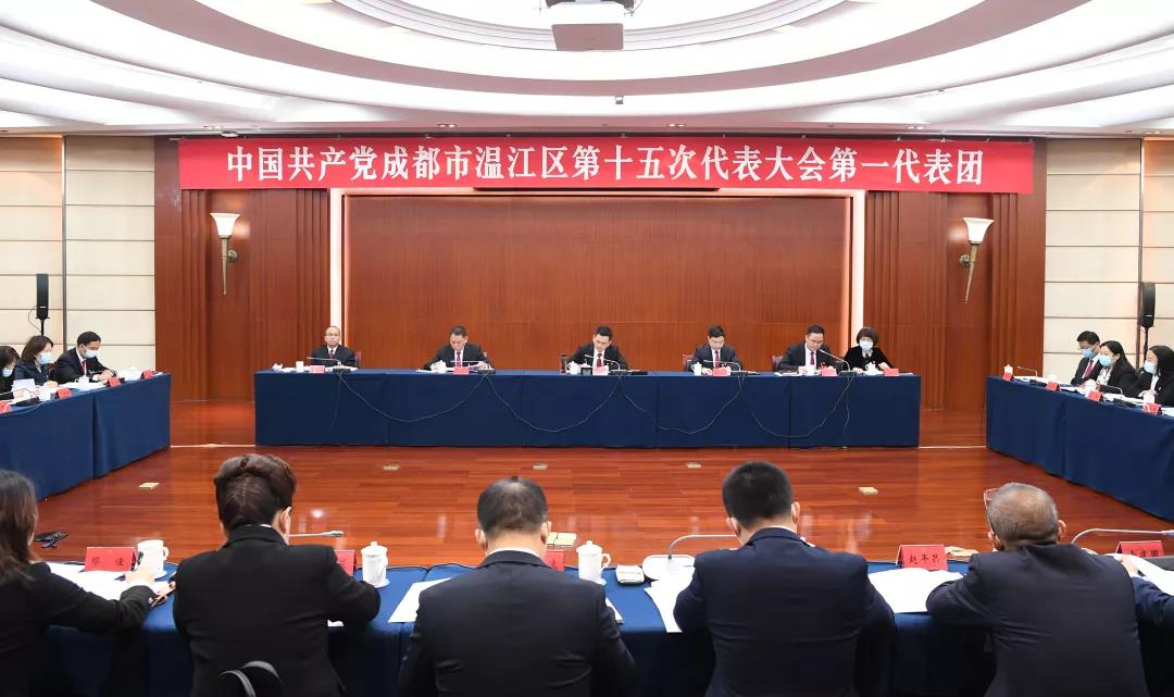 王乾参加分团讨论时强调：认真履职尽责，积极建言献策，为温江高质量发展贡献力量