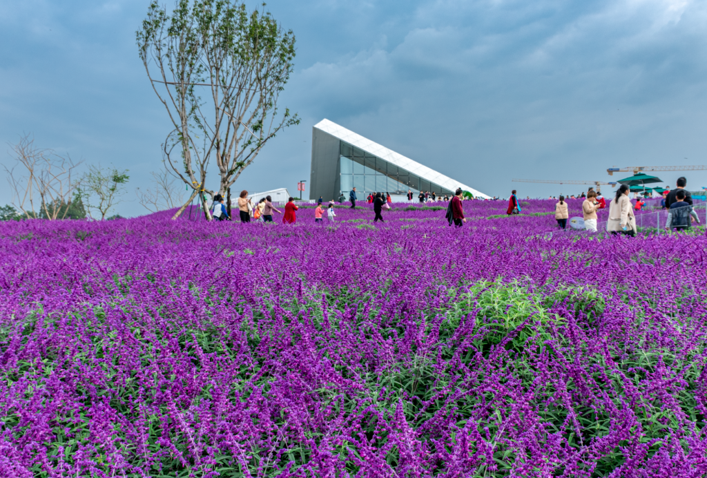 漫步秋日公园  感受城市美好