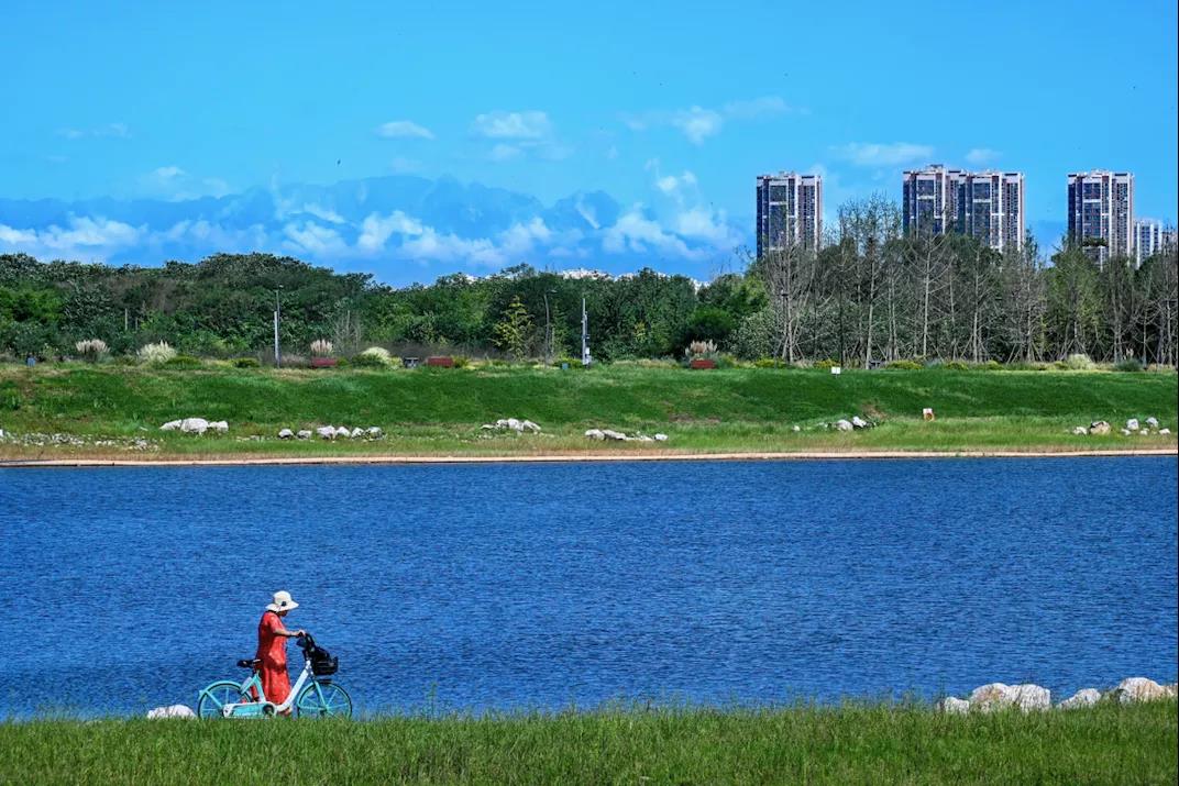推动共建区域性碳排放权交易市场！川渝生态环境保护领域将有新动作