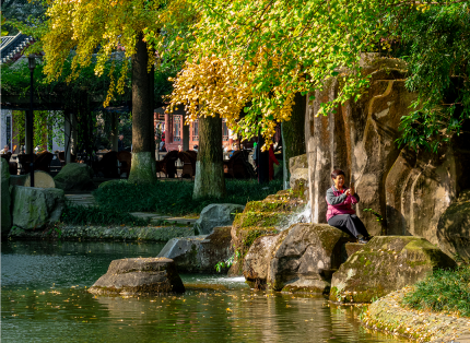 这里是温江·2021年11月15日