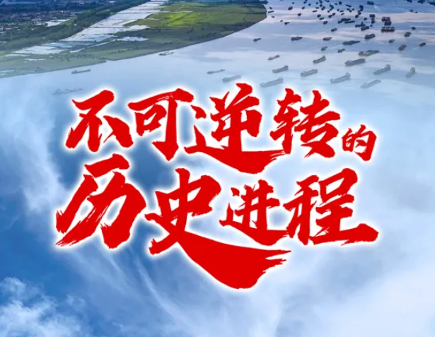 新华社重磅文章：不可逆转的历史进程！