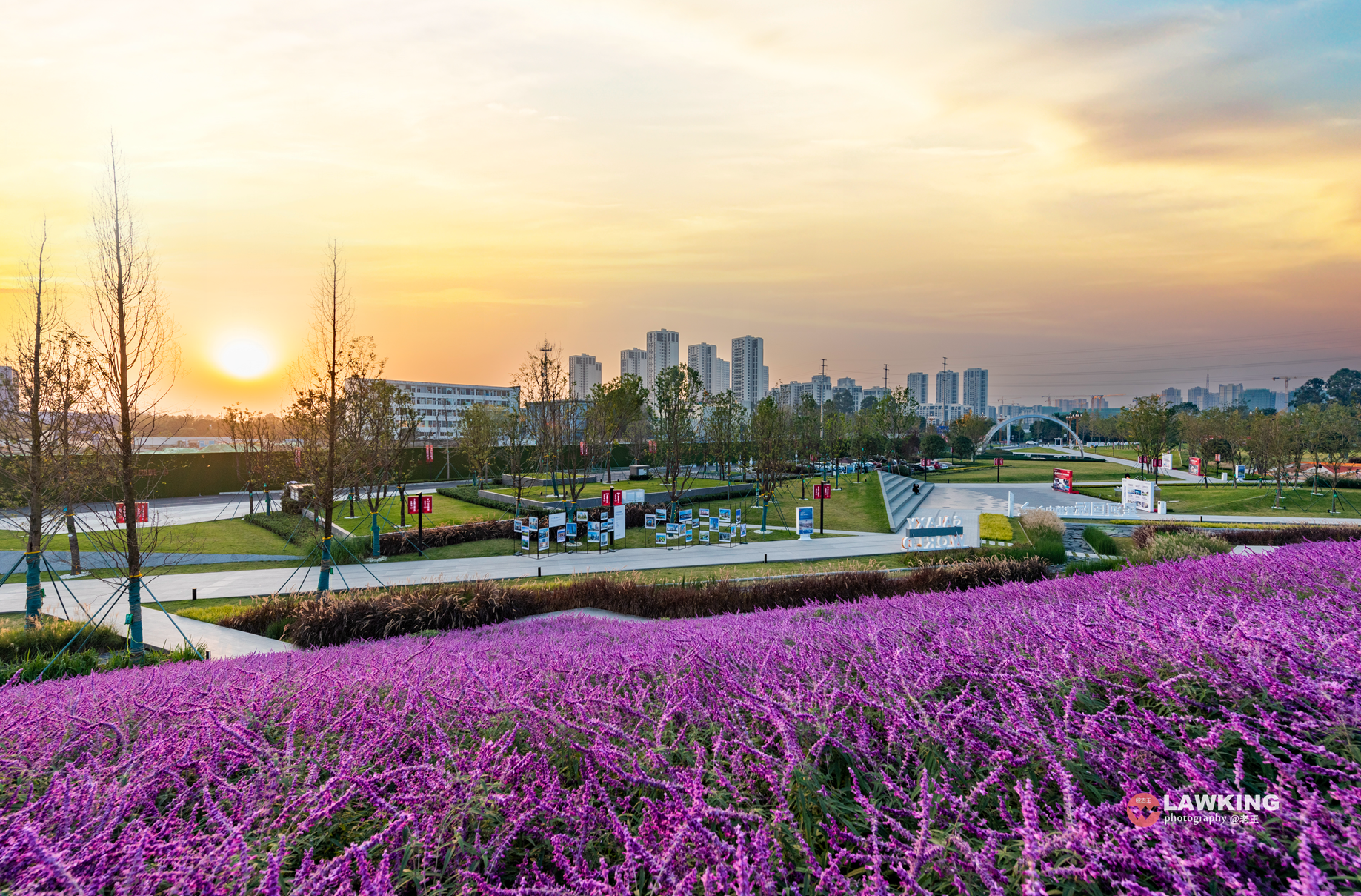 冬日美景，扮靓美好之城！    图 @ 王晓林