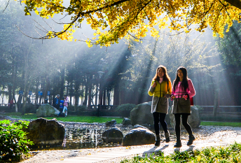 这里是温江·2021年11月18日