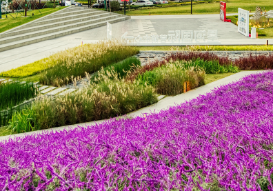 这里是温江·2021年11月16日