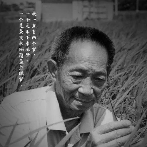 今天，送别袁老！