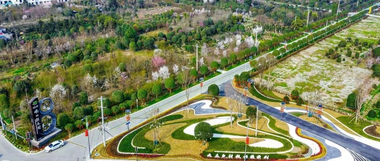 以重点项目突破带动全局发展 确保“十四五”开好局起好步！王道明调研督导全区重大产业化项目和防火及安全生产工作时强调