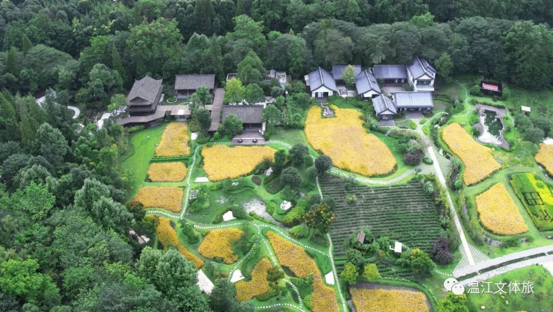 区第十八届人民政府第116次常务会议召开