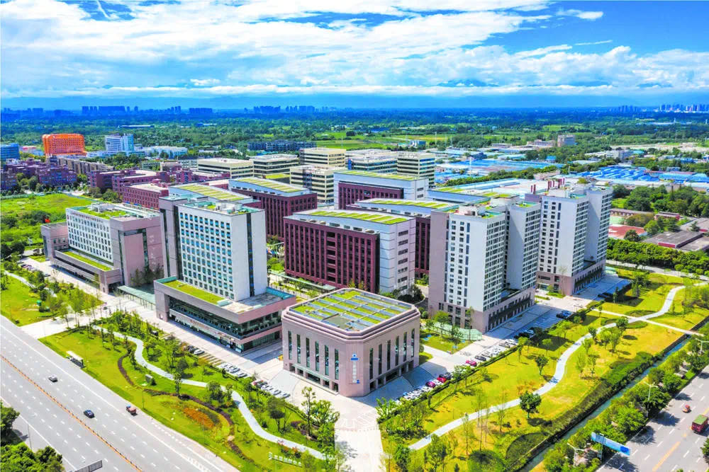 王道明调研督导成都医学城B区项目建设运营情况
